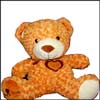 Cute Little Love - Click here to View more details about this Product